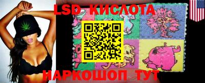MDMA Гатчина