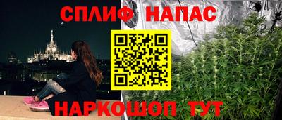 MDMA Гатчина