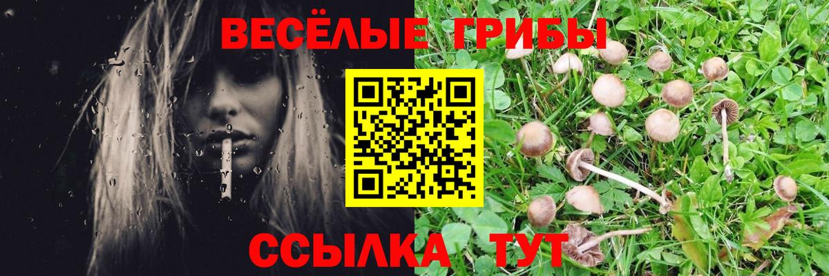 Галлюциногенные грибы ЛСД  Псилоцибиновые грибы мухоморы  Нарткала  Вход с VPN 